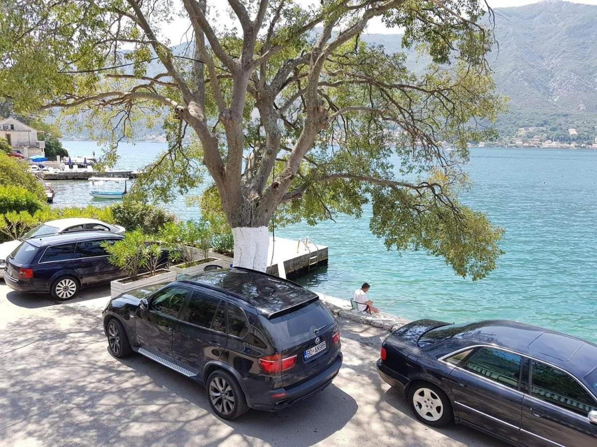 Montenegro Apartments - Private Beach Котор Экстерьер фото